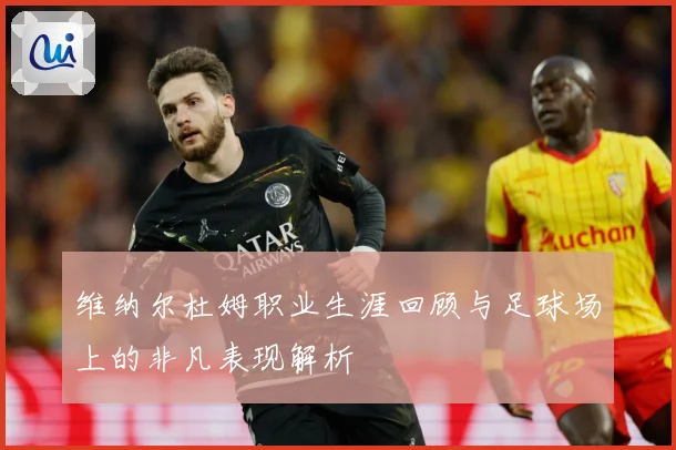 维纳尔杜姆职业生涯回顾与足球场上的非凡表现解析