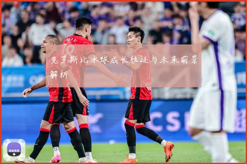 克罗斯比冰球成长轨迹与未来前景解析