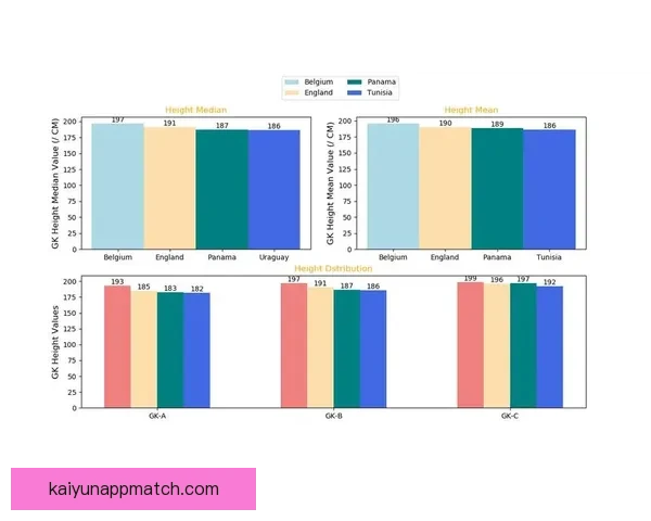 融合数据分析与球队走势判断的世界杯竞猜高胜率预测方法解析